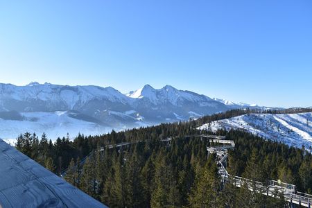 Full-Day Zakopane and Slovakia Treetop Walk From Krakow