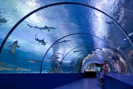 Side: Aquarium, Wax Museum, Snow World, Wild Park, XD Cinema