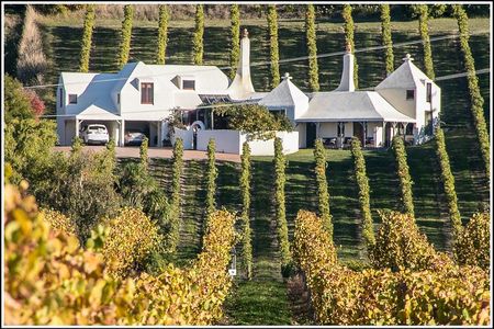 Shore Excursion: 4-Hour Discover Hawkes Bay and Napier Tour
