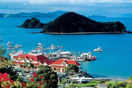 Waitangi Treaty Ground Day Trip Private Transport From Auckland 