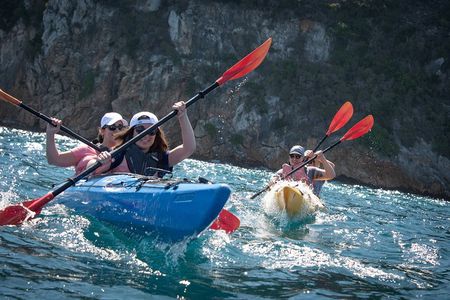 Sea Kayaking in Navarino Bay
