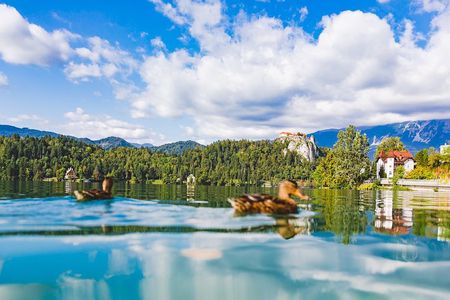 Bled lake, island & castle | Private half day trip from Ljubljana