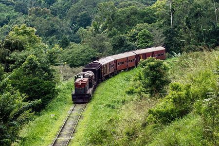 14-nights/15-days Sri Lanka round tour by Car - with Udawalawa Safari