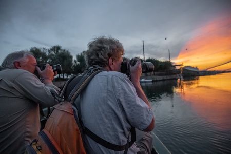 Birdwatching by boat in a small group in the Pialassa Baiona