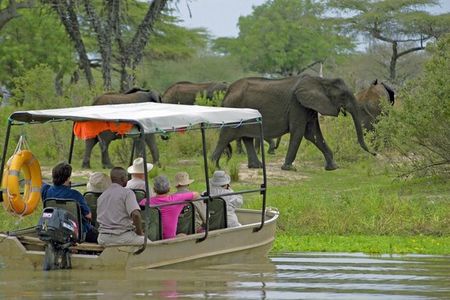3 Days 2 Nights Nyerere National park Lodge Wildlife Safari