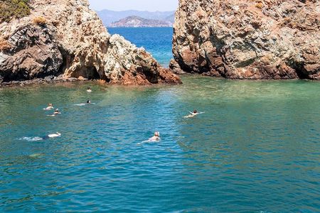 Dolphin Island Boat Trip – Swim, Sun & Lunch Included