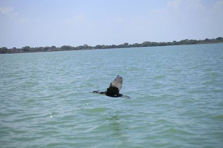 City tour of Bahir Dar