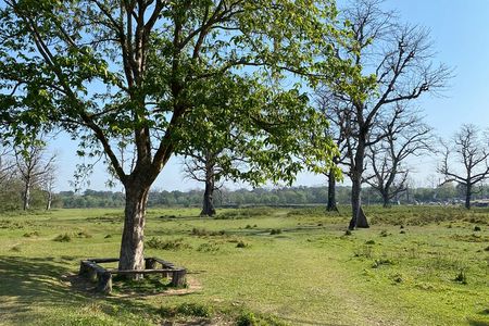 Nature Walk in Chitwan Jungle Safari with Guide