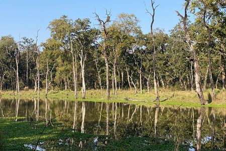 3 Nights 4 Days Comfortable Chitwan Safari Tour