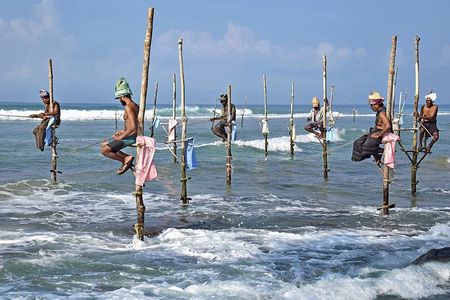 14-nights/15-days Sri Lanka round tour by Minivan - with Udawalawa Safari