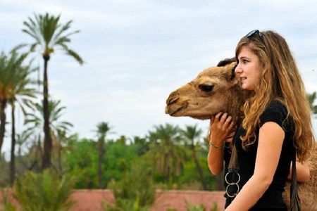 Desert Agafay and Atlas Mountains & Camel ride Day Trip From Marrakech