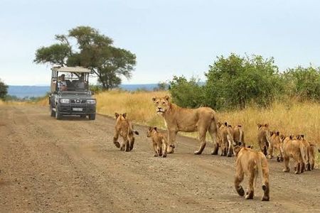 2 Days Mid-Range Safari to Lake Manyara and Ngorongoro Crater