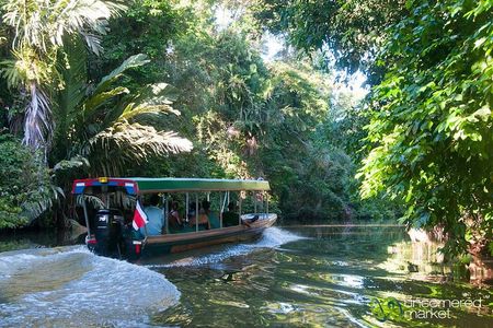Caribbean Costa Rica: 5-Day Tour with Tortuguero National Park and Puerto Viejo