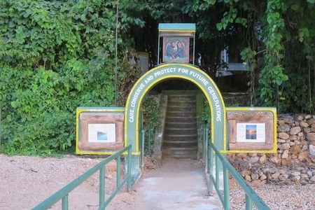 Gombe National Park Chimpanzee Trekking
