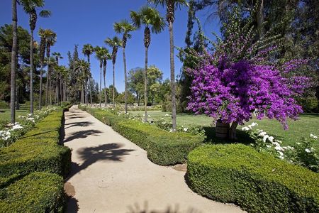 Santiago: Half day Visit to Undurraga vineyard, entrance and transport included 
