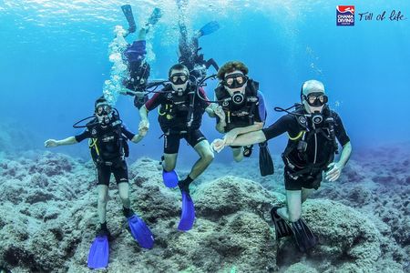 Try Scuba in Crete – Free Certification & Photos (Beginners)