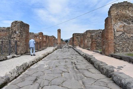 Pompeii Skip-the-line Tour with Archaeologist Guide