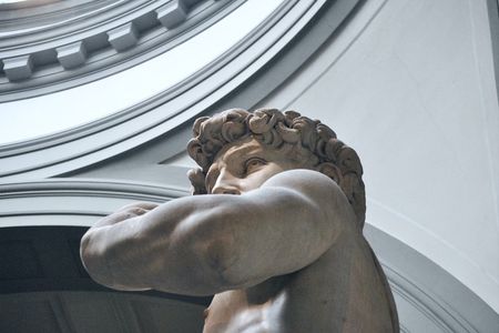 Florence Tour: Michelangelo's David and Historic Center