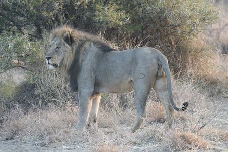 1-day Tanzania small group sharing safari - Manyara N.P