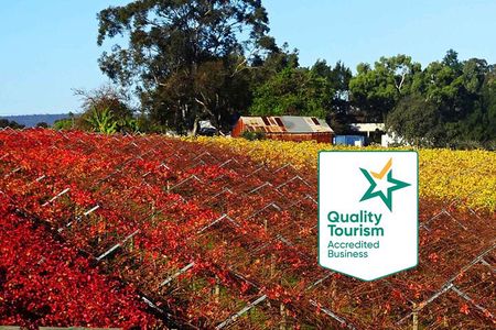 Swan Valley Region Private Day Tours