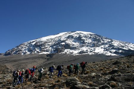 Mt. Kilimanjaro 5 Days Trek - Marangu Route