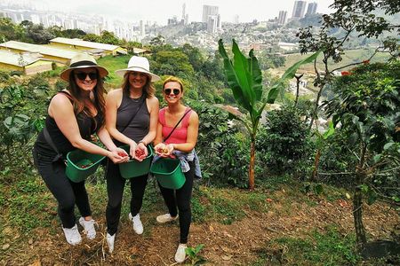 Coffee Farm & ATVs Private Tour in Medellin: Stunning Views & Fun