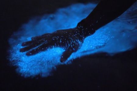 Bio Bay Kayak Tour in Fajardo