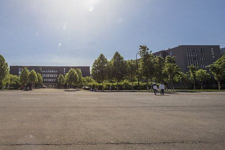 The Best of Shijiazhuang Walking Tour