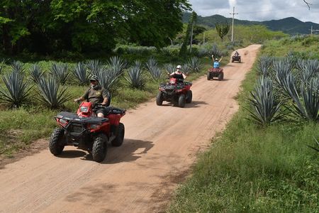 ATV's Tour to La Vinata Los Osuna
