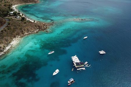 Lime Out Snorkel with Taco Bar Lunch & Swim-Up Bar - Ritz-Carlton