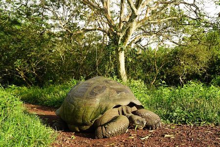 8-Day Galapagos Discovery