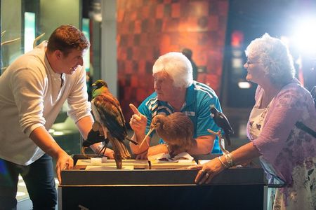 Museum of New Zealand Te Papa Tongarewa: Introducing Te Papa Tour
