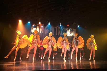 13 - Guided Tour to Ginga Tropical Music Show With Dinner