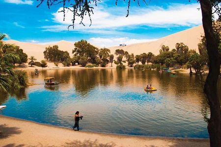 Ballestas Island + Paracas Reserve & Huacachina Oasis (Private)