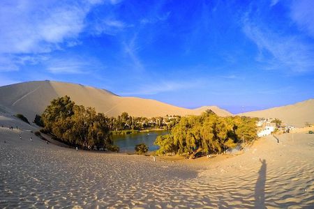 Huacachina Oasis & Ballestas Islands + Paracas Reserve (Private)