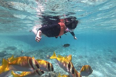 Beyond Angthong 42 Islands Premium Service Trip By Speedboat From Koh Samui