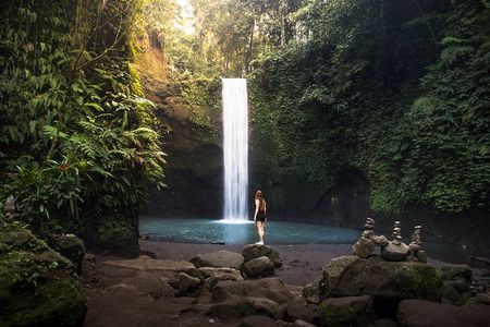 Bali Private Full Day Tour to Visit the Best Waterfalls and Swing near Ubud