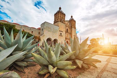 Private Oaxaca Walking Tour with Mezcal Tasting