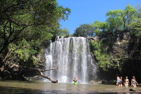 Sloth tour and Wildlife Encounter