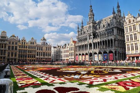 Brussels Private Walking Tour With A Professional Guide