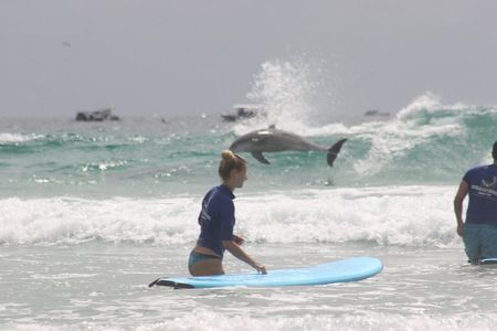 2 Hour Ultimate Learn to Surf Adventure