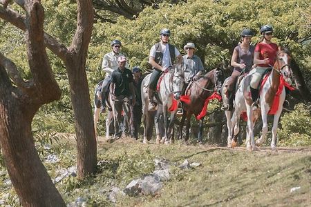 Horse riding tour (7 Days)