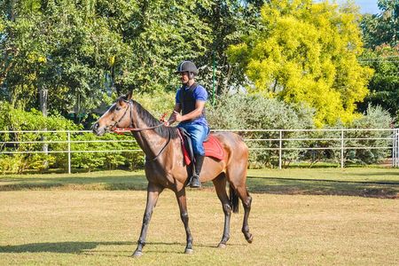 Horse Riding for Beginers from Dambulla