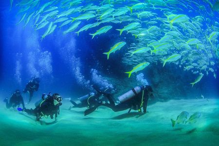 Cabo San Lucas Certified 2 Tank Dive at the Famous Arch and Land's End