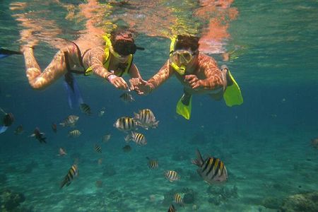 Marlin del Rey Catamaran Snorkel Sunset Cruise from Tamarindo or Playas del Coco
