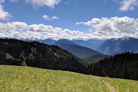 Olympic National Park - Private Luxury Day Tour with Lunch