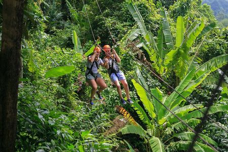 Zipline & Coffee with Waterfall Views in Koh Samui