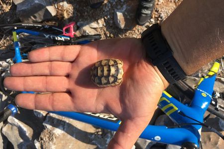 East Mani Road e-Bike Tour