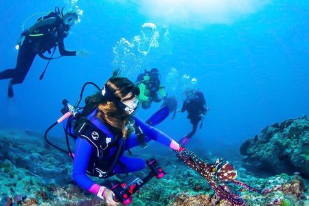 Snorkeling in Talawila St. Anne's Reef