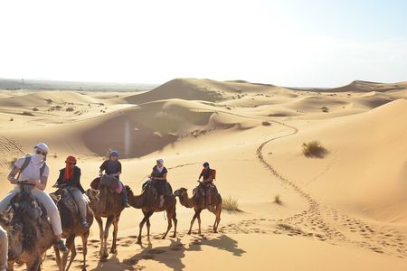 From Marrakech : 4 days Desert Tour to Merzouga & Zagora